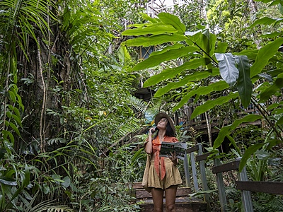 Daintree Discovery Centre